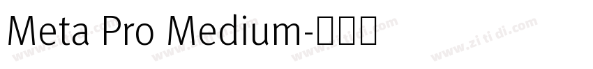 Meta Pro Medium字体转换